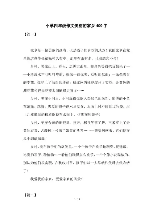 小学四年级作文美丽的家乡400字