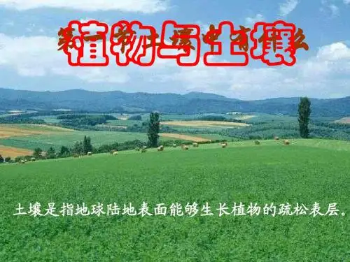 八年级科学土壤中有什么5