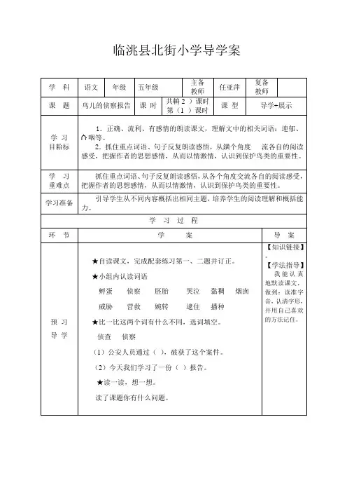 鸟儿的侦察报告11