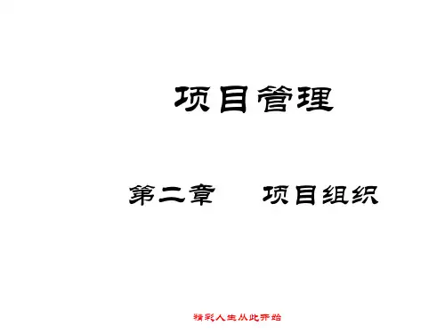 第二、三章项目组织与项目经理