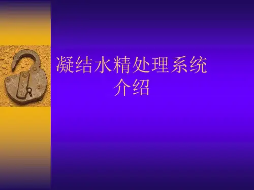 凝结水精处理系统简介.