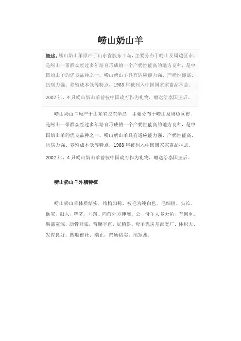 崂山奶山羊