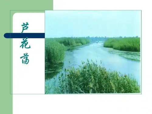 新人教版八年级语文上册《芦花荡》公开课课件