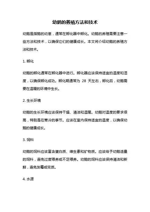 幼鹅的养殖方法和技术