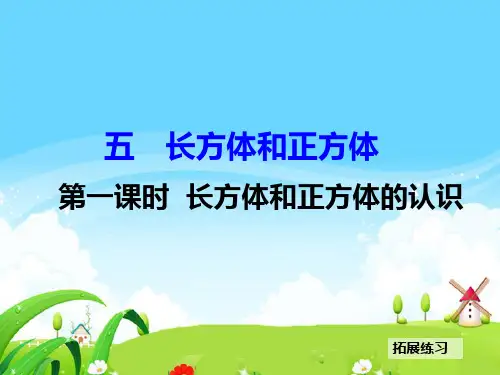 1 长方体和正方体的认识_拓展练习