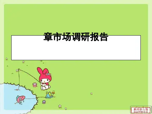 市场调查报告撰写(PPT 47张)