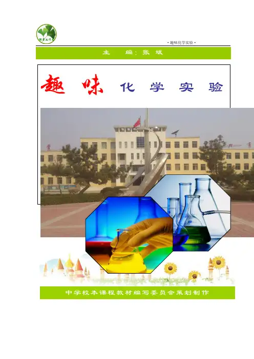 初中化学校本课程(定稿)