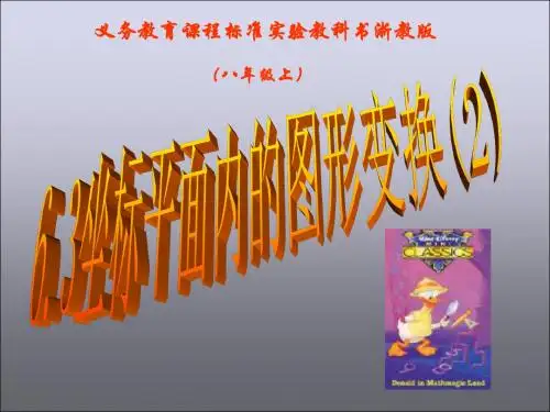 浙江省温州市平阳县鳌江镇第三中学八年级数学上册 6.3.2 坐标平面内的图形变换课件 浙教版