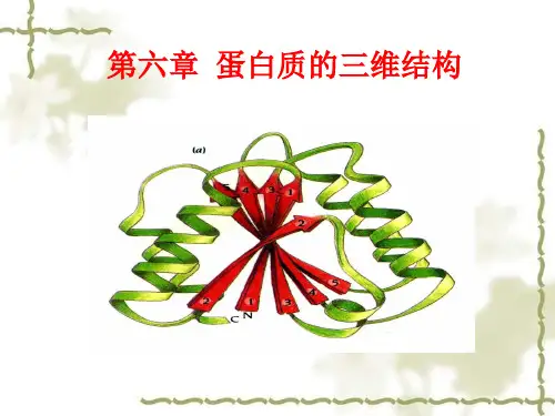 蛋白质的三维结构