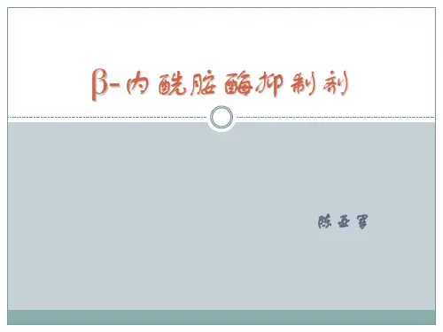 β-内酰胺酶抑制剂