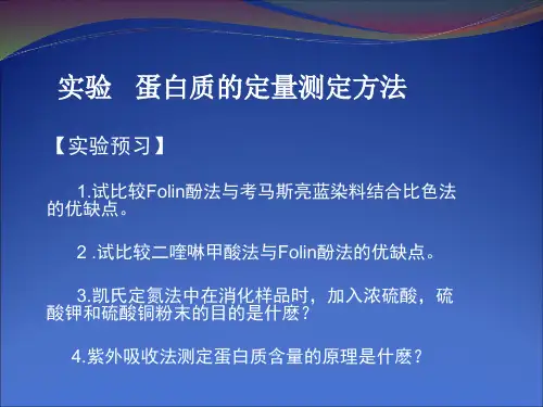 蛋白质定量测定方法