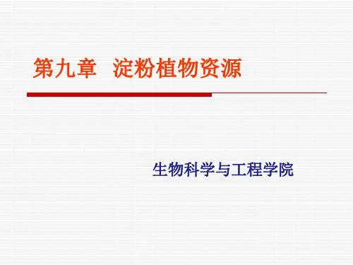 第九章 淀粉植物资源