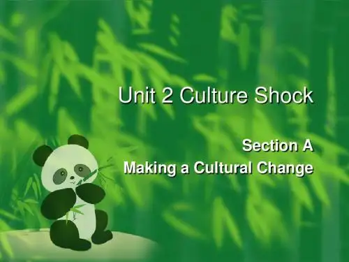 Unit 2 Culture Shock
