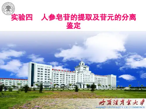 中药化学实验四(人参)分解
