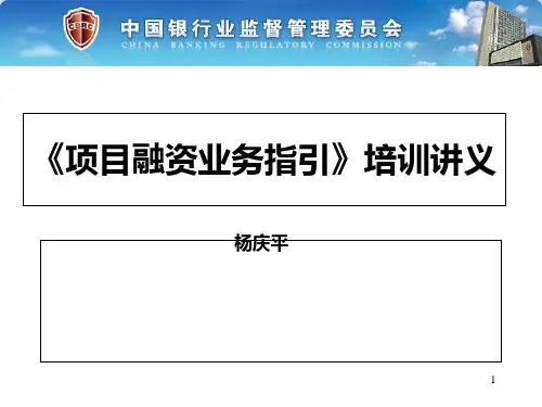 项目融资业务指引