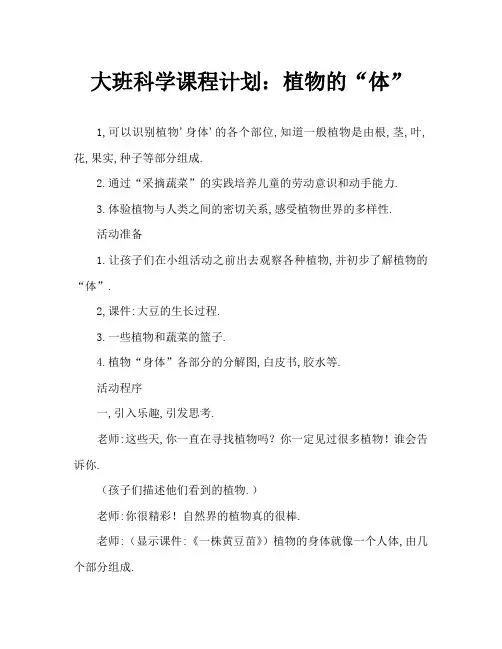 大班科学教案：植物的“身体”