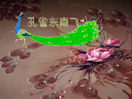 6孔雀东南飞
