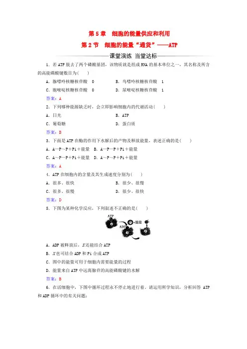 2017-2018年高中生物第5章细胞的能量供应和利用第2节细胞的能量“通货”——ATP练习新人教版必修1课件