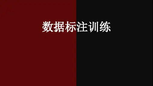 人工智能数据标注_车道标注