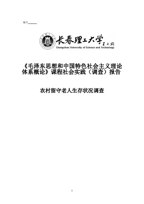 毛邓课程社会实践(调查)报告