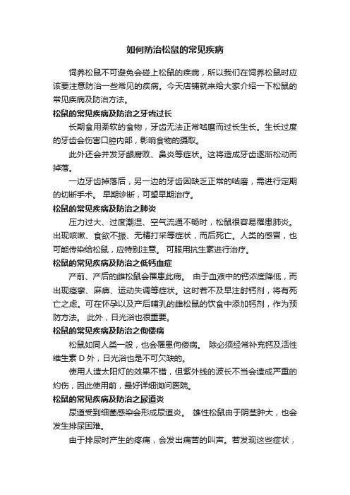 如何防治松鼠的常见疾病