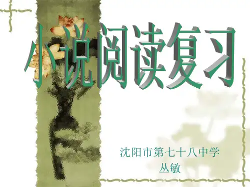小说阅读复习PPT