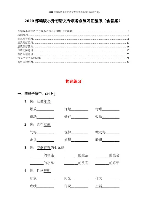 2020年部编版小升初语文专项考点练习汇编(含答案)