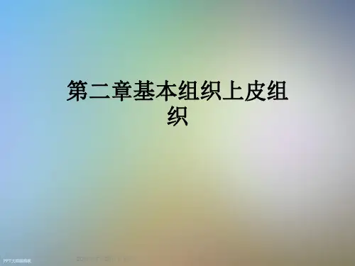 第二章基本组织上皮组织