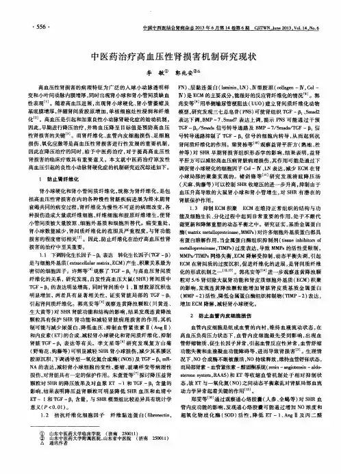 中医药治疗高血压性肾损害机制研究现状