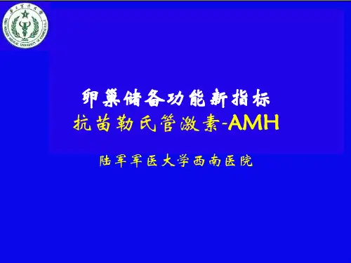 抗苗勒氏管激素-AMH三医大幻灯