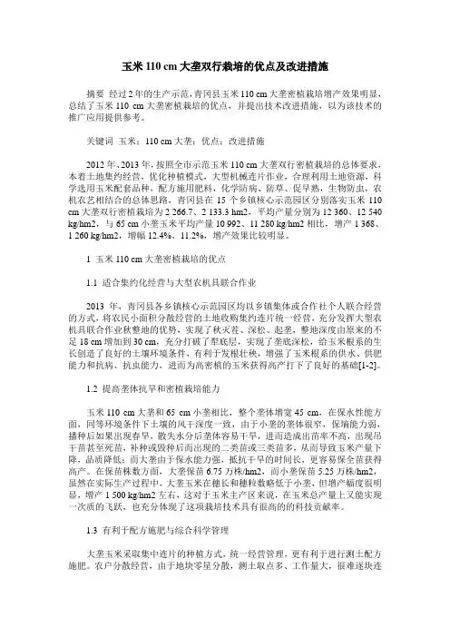 玉米110 cm大垄双行栽培的优点及改进措施