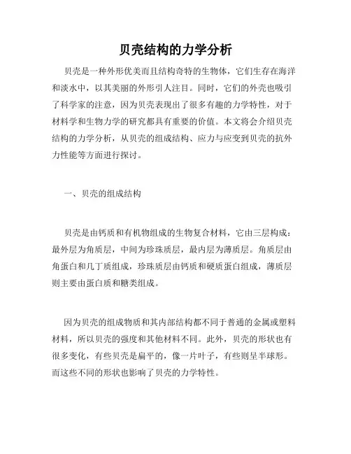 贝壳结构的力学分析