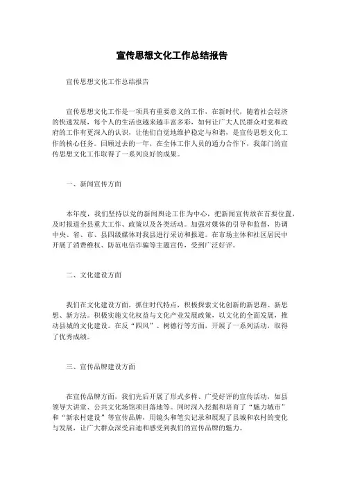 宣传思想文化工作总结报告
