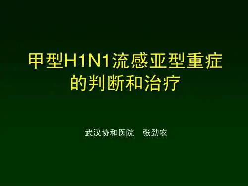 张劲农甲流培训