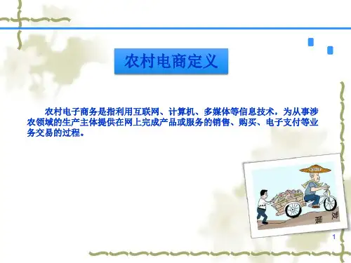 大电子商务时代之农村电子商务