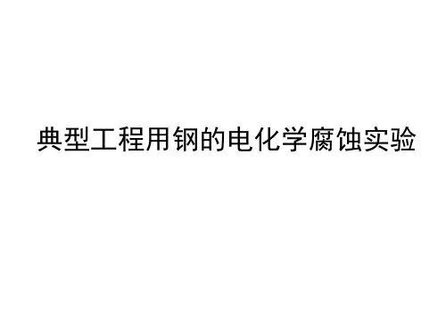 6-电化学实验