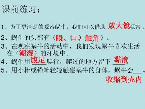 3蜗牛(2)