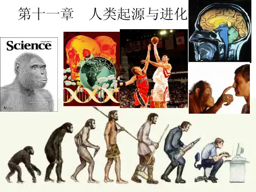 人类的起源与进化 进化生物学 课件 