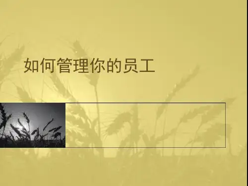 提升领导力如何管理你的员工.pptx