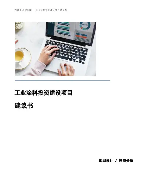 工业涂料投资建设项目建议书