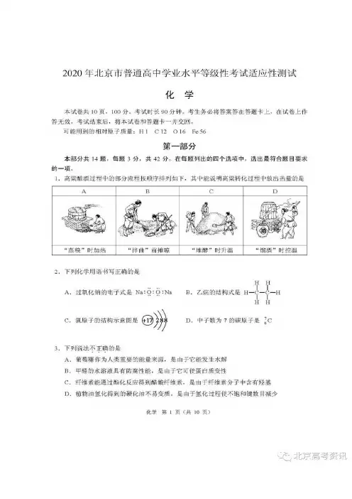 2020年北京市普通高中学业水平等级性考试适应性测试化学试题