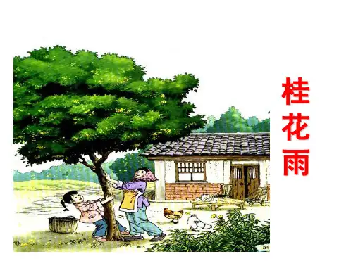 苏教版《桂花雨》第一课时PPT课件
