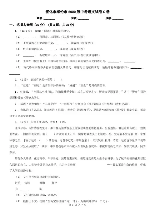 绥化市海伦市2020版中考语文试卷C卷