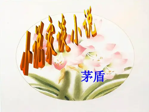 学年度[苏教版]九年级语文上《小说家谈小说》课件