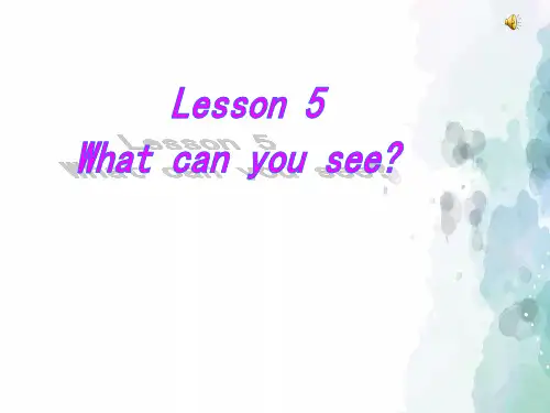 科普版-英语-四年级上册-Lesson 5 What can you see? 名师
