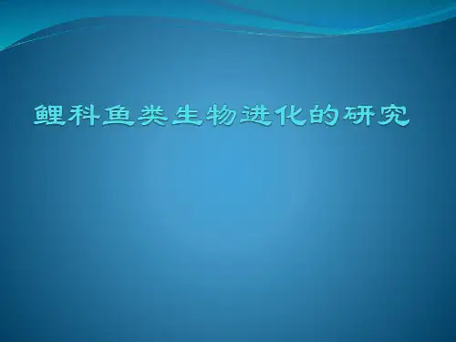 鱼类进化学