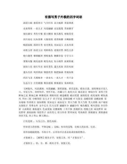 有描写男子外貌的四字词语