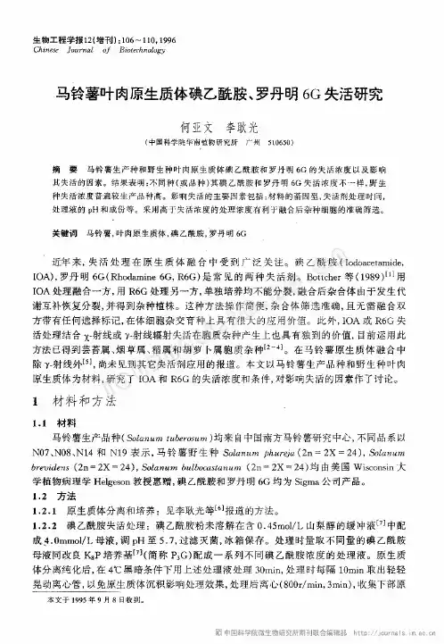 马铃薯叶肉原生质体碘乙酰胺、罗丹明6G失活研究