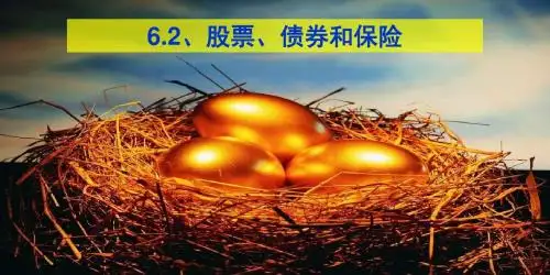 6.2股票债券和保险
