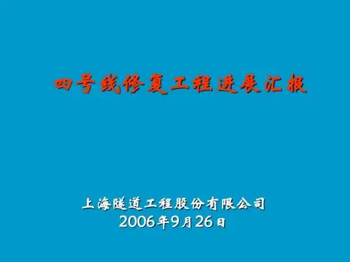 修复工程进展汇报0609020
